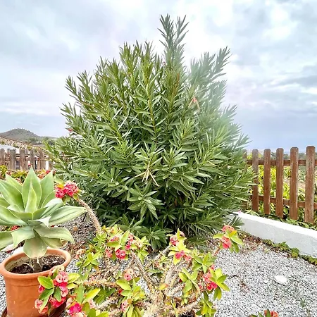 Cosy With Private Terrace Holiday home Frigiliana