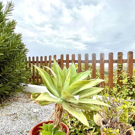 Cosy With Private Terrace Holiday home